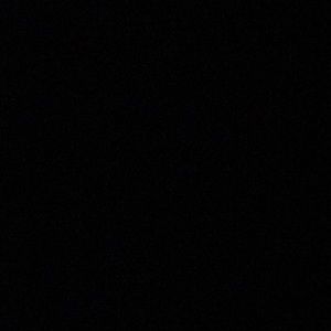 Meet your Posher, Ani